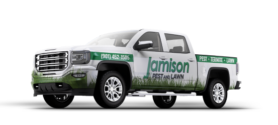 Pest Control Arlington, TN