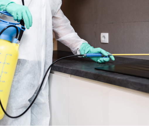Professional pest control technician spraying treatment on kitchen counter