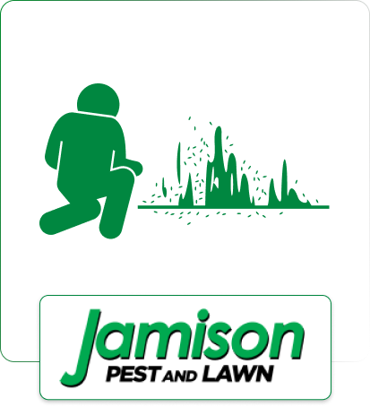 Termite Warranty Program