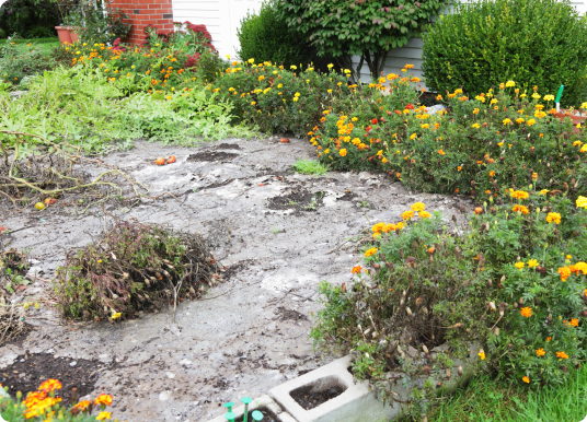 Pre Emergent Weed Control