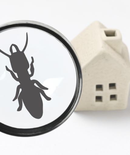 Termite Warranty Program