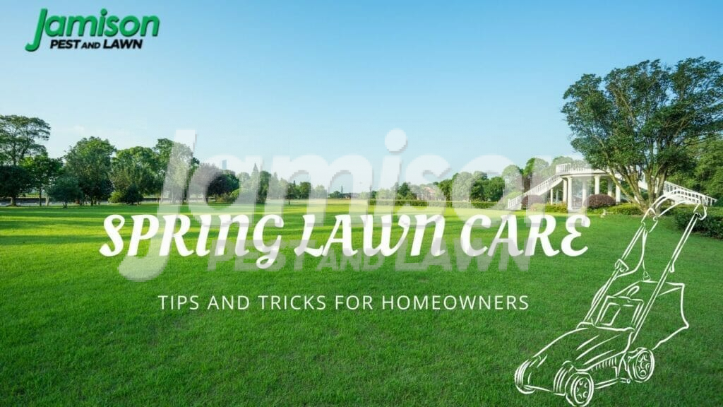 Spring lawn care