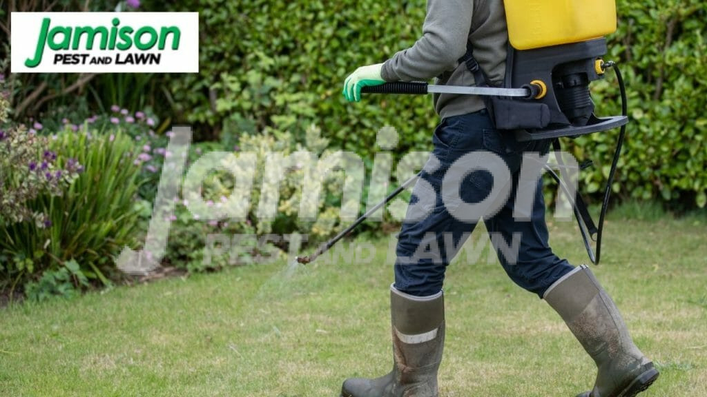 Weed killer for lawns