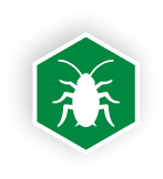 Pest Control Drummonds, TN