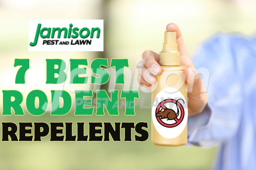 best Rodent Repellent