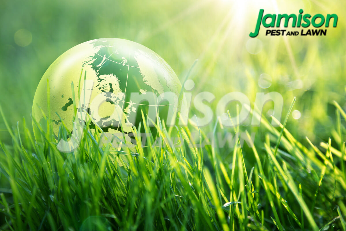 How Does Climate Change Affect Your Lawn?