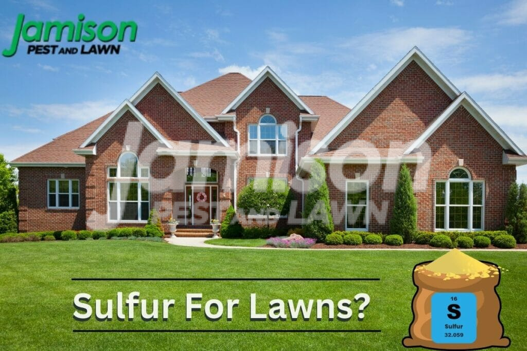 How often can i apply sulfur to my lawn