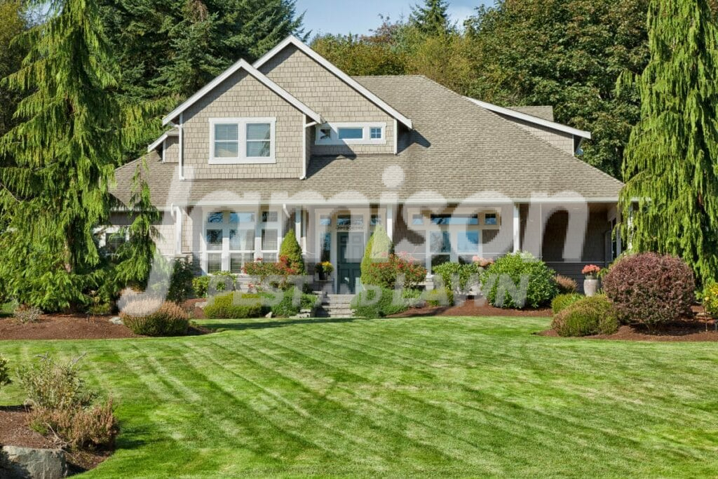 Green lawn