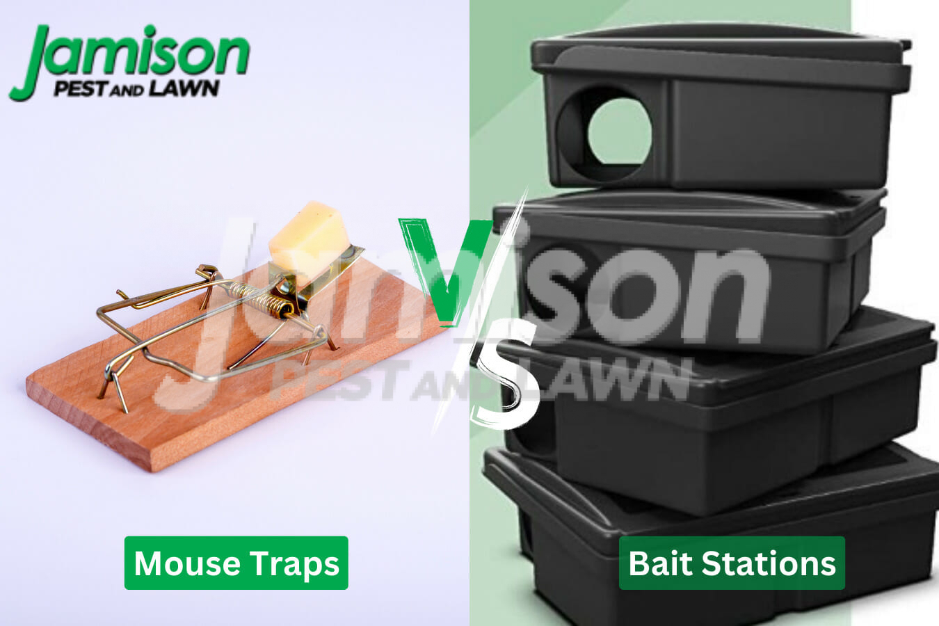 Mouse Traps vs. Bait Stations: What’s The Difference?