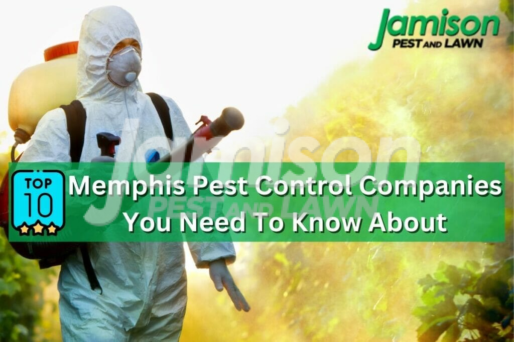 Memphis pest control companies