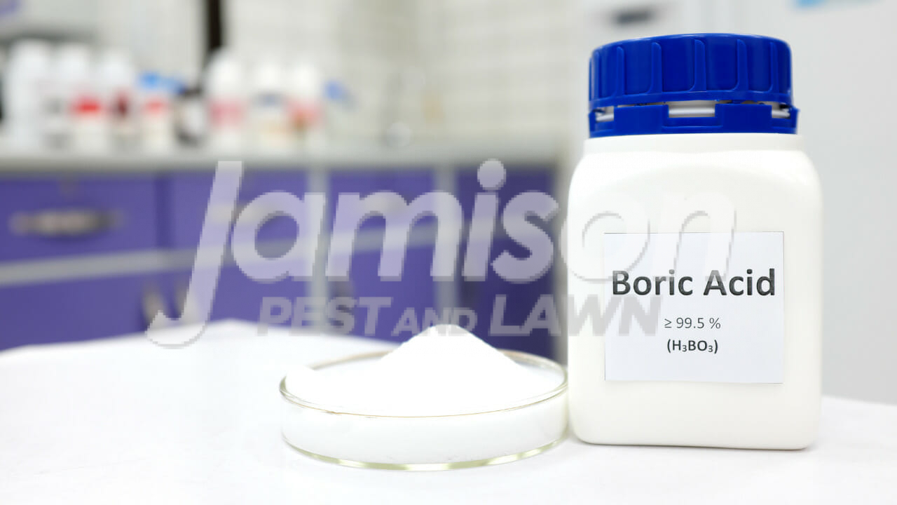 Utilize borax (boric acid)