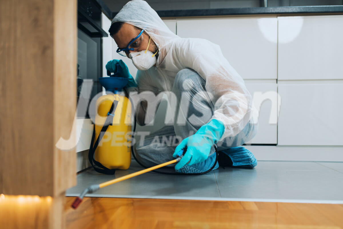 Jamison pest and lawn termite inspection