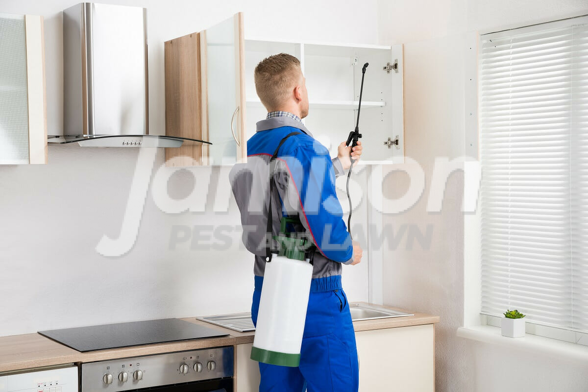 Pest control services and termite control