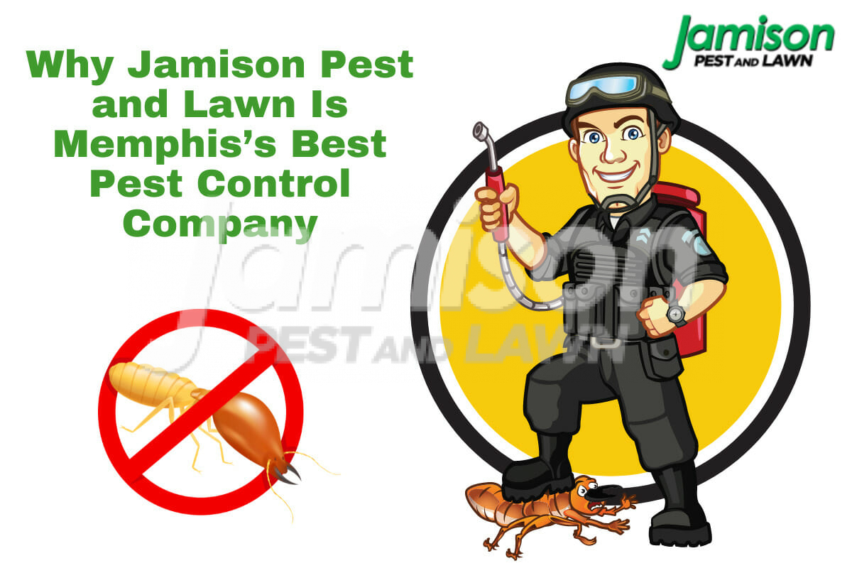 Why Jamison Pest and Lawn Is Memphis’s Best Pest Control Company