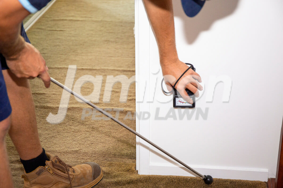 Jamison Pest And Lawn 1200 × 800 px 14 Termite inspections