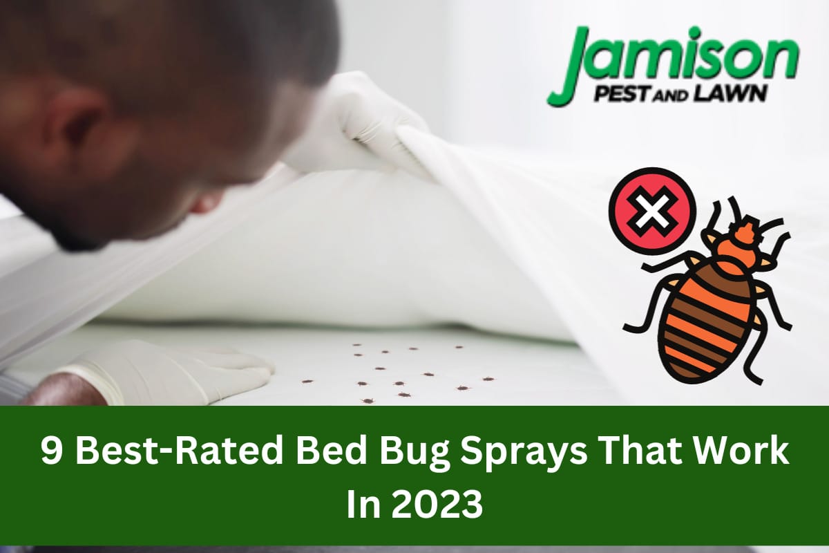 9 Best-Rated Bed Bug Sprays That Work In 2023