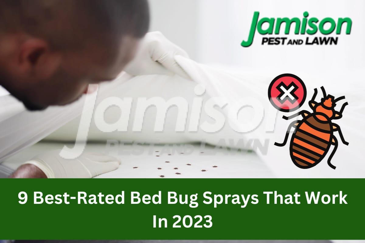 9 Best-Rated Bed Bug Sprays That Work In 2023