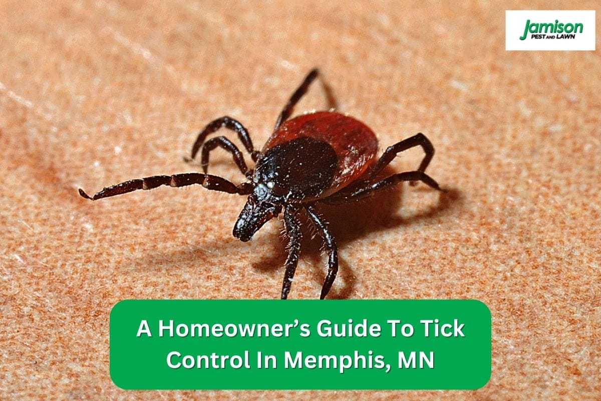 A Homeowner’s Guide To Tick Control In Memphis, MN
