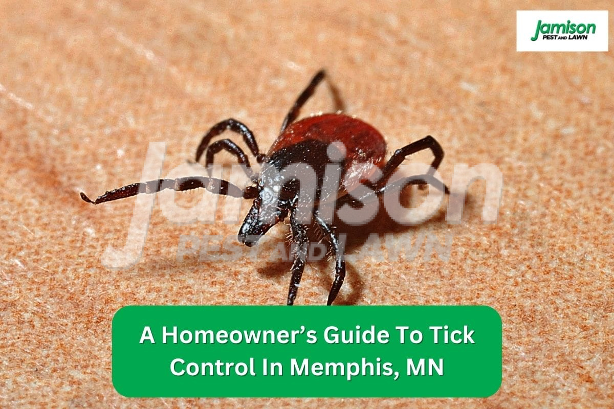 A Homeowner’s Guide To Tick Control In Memphis, MN