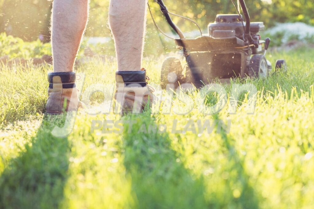 Regular mowing