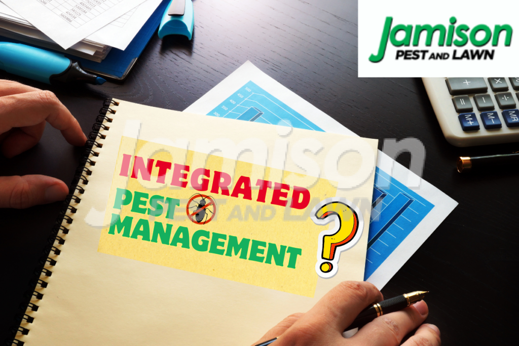 Integrated pest management 101: what homeowners should know