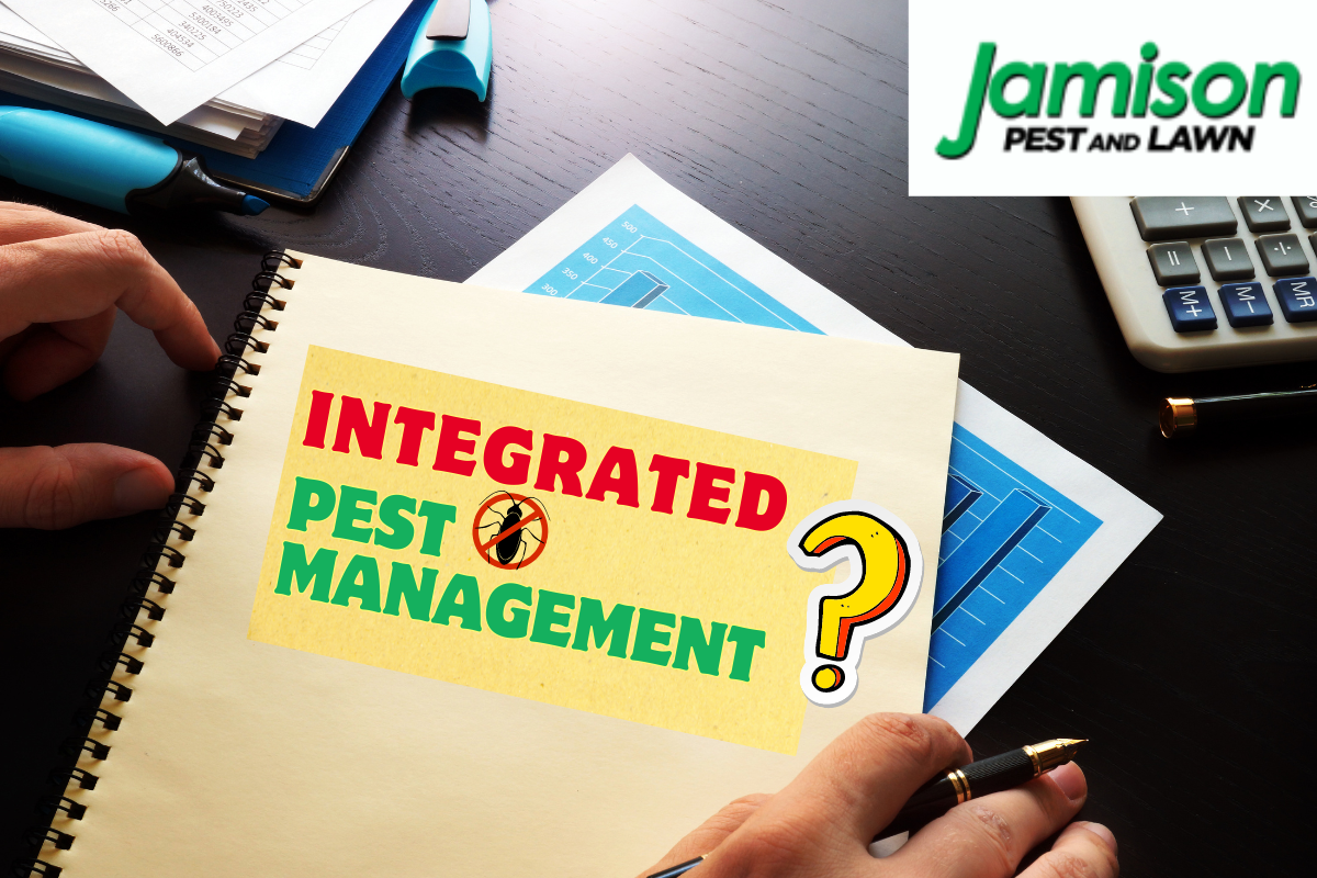 Integrated Pest Management 101: What Homeowners Should Know