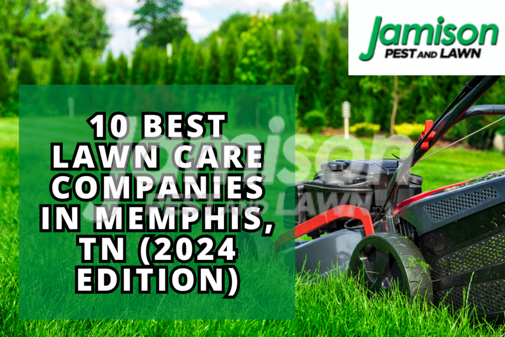 Lawn care companies in memphis