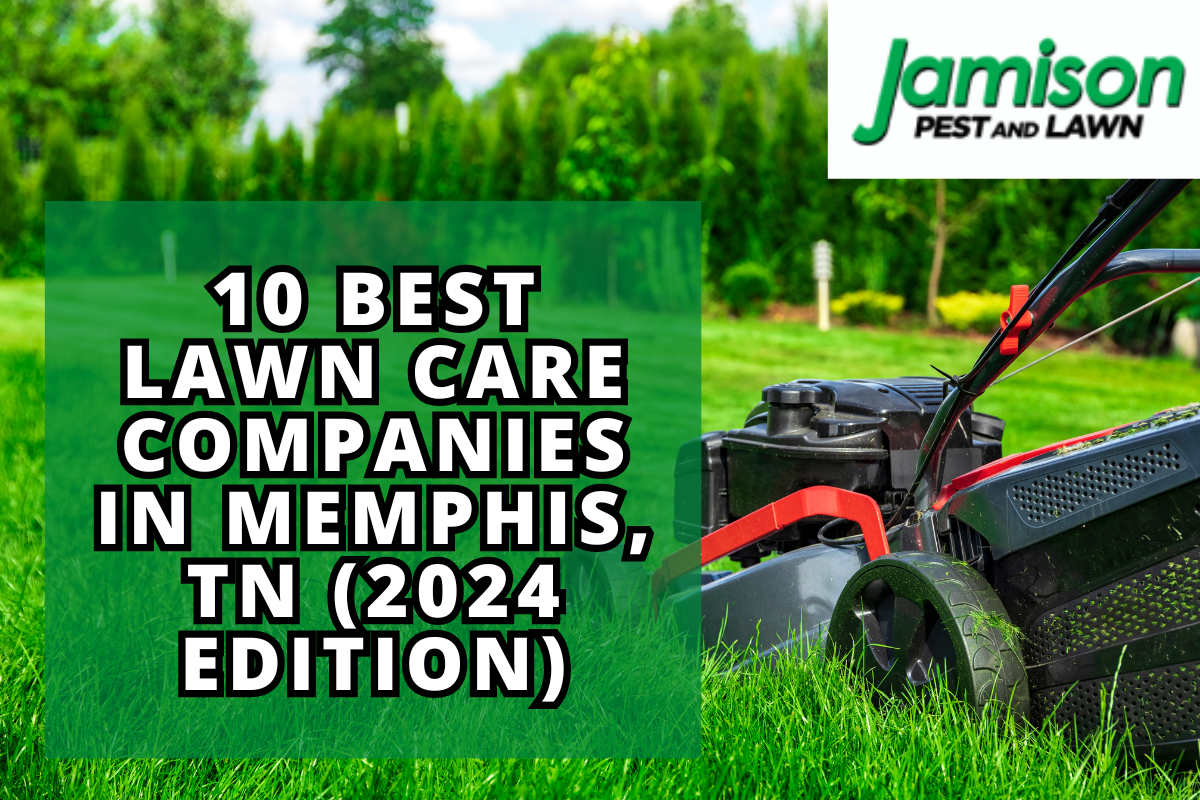 10 Best Lawn Care Companies In Memphis, TN