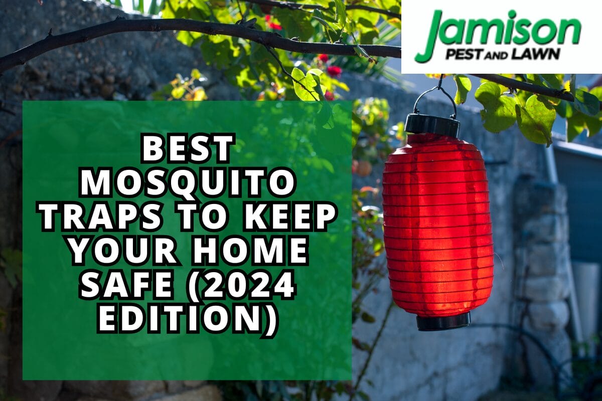 Best Mosquito Traps To Keep Your Home Safe (2024 Edition)