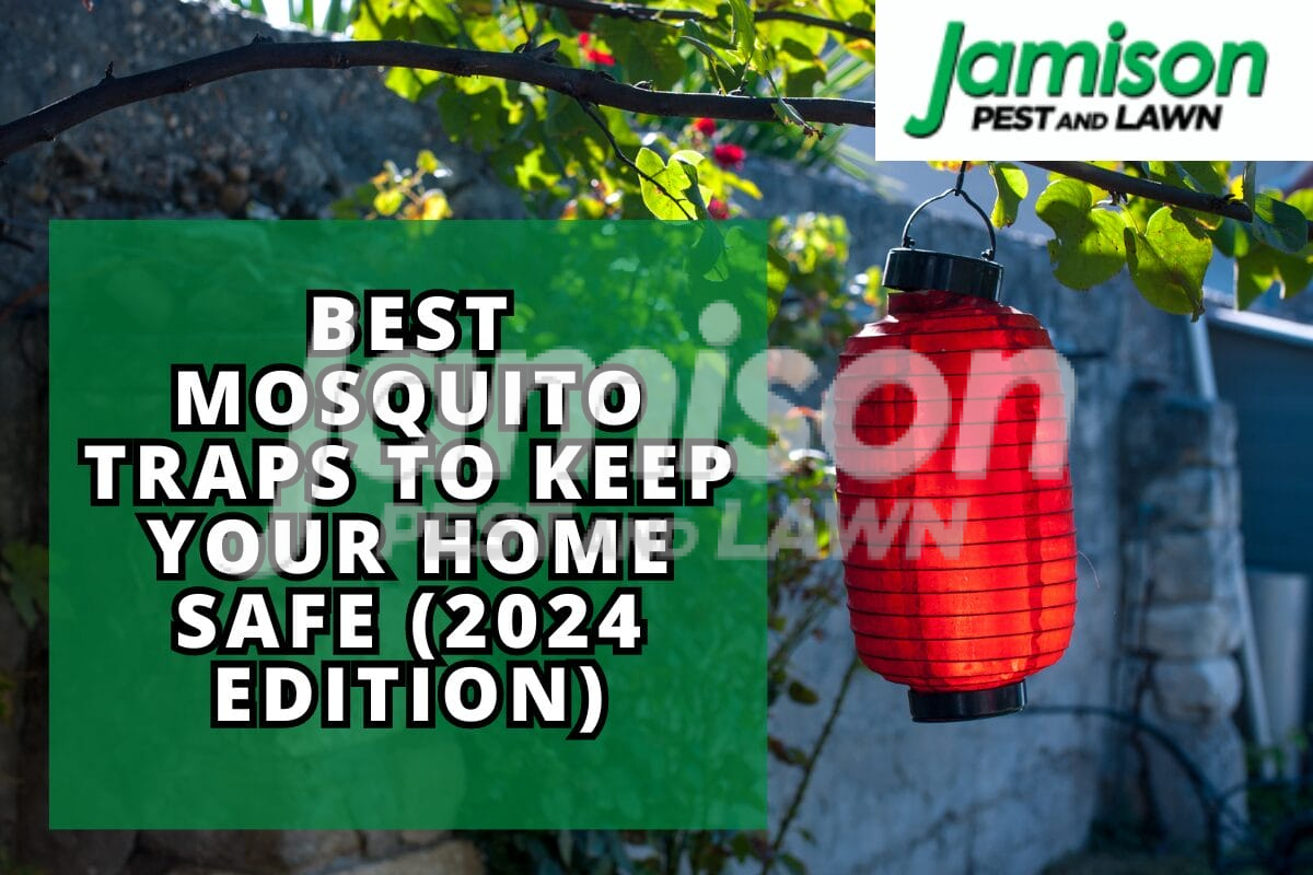 Best Mosquito Traps To Keep Your Home Safe (2024 Edition)