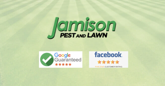 Jamison pest and lawn