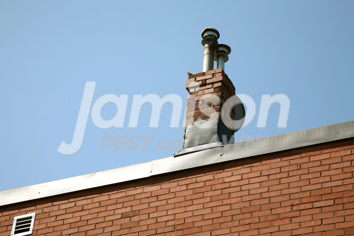 Roof Vents Or Chimneys Roof vents or chimneys