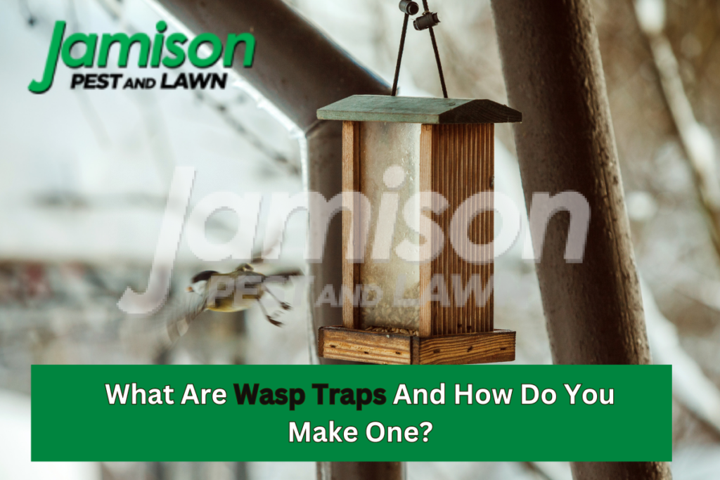 What are wasp traps and how do you make one?