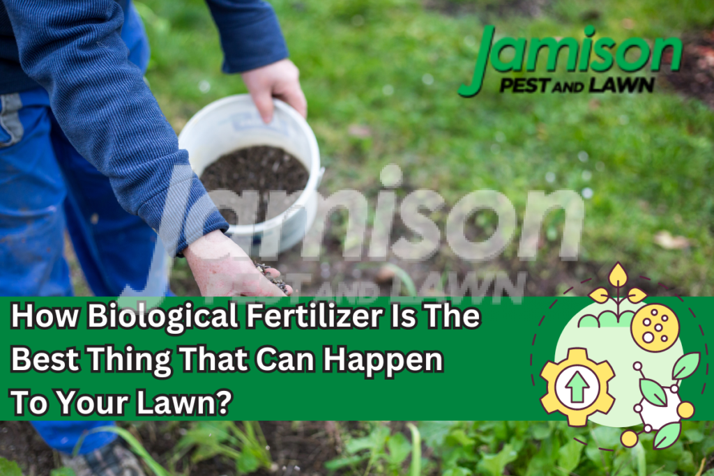 How biological fertilizer is the best thing that can happen to your lawn