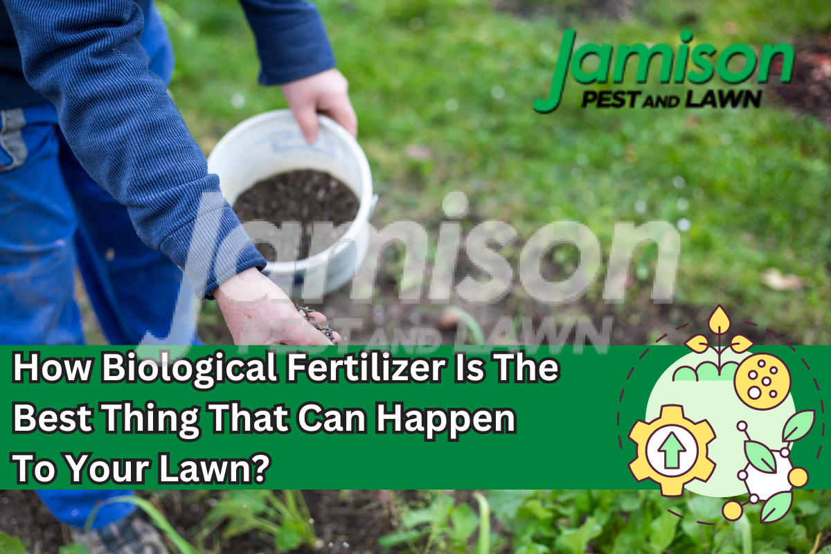 How Biological Fertilizer Is The Best Thing That Can Happen To Your Lawn