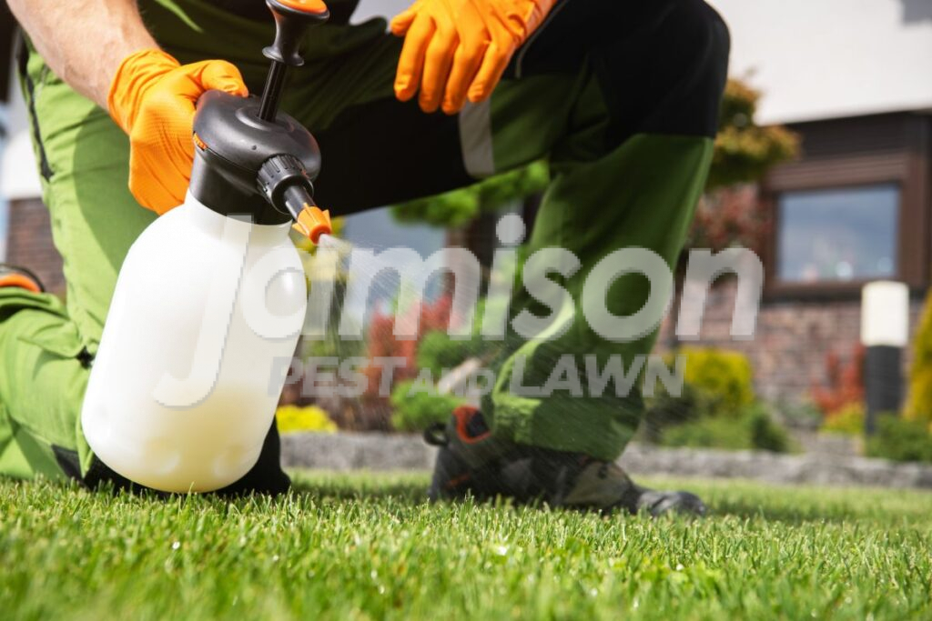 Chemical Tick Control For Lawns Chemical tick control for lawns