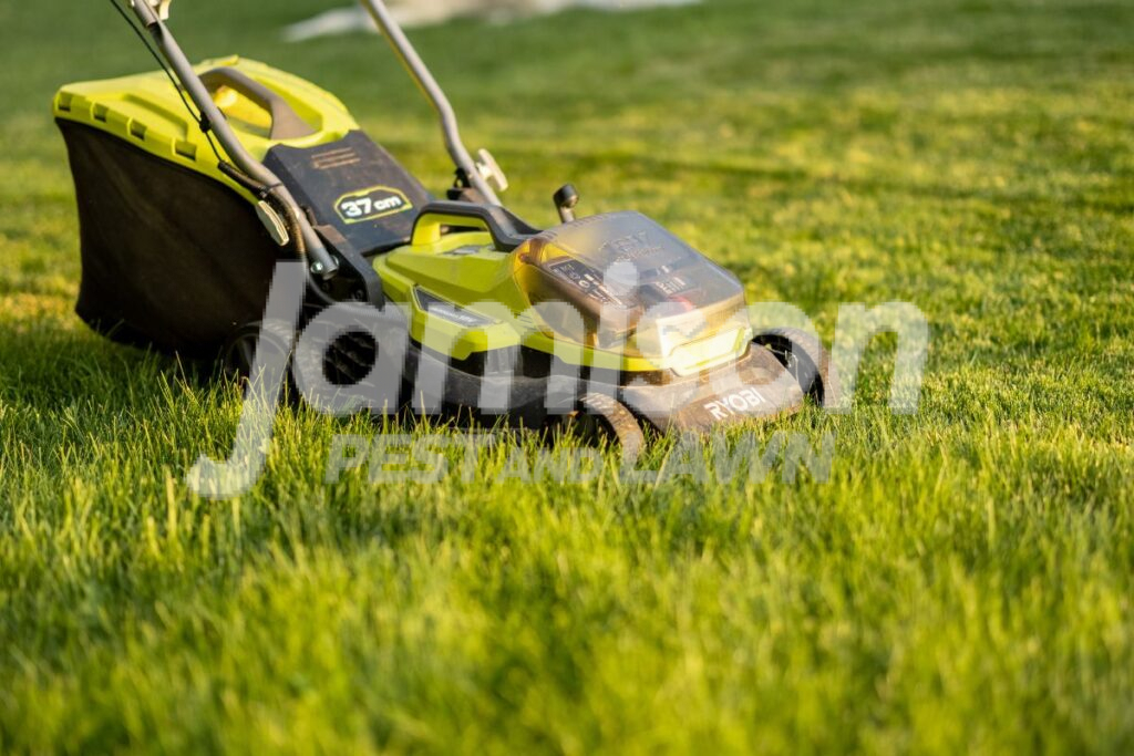 Mow and Trim Grass Regularly Mow and trim grass regularly