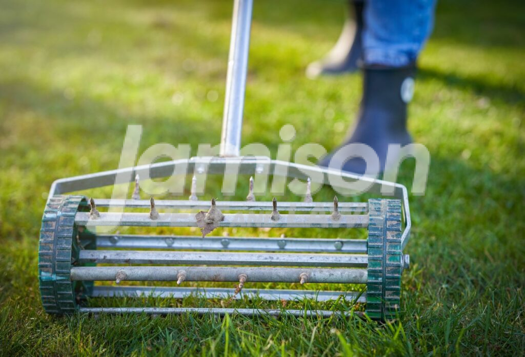 Aerating Your Lawn Aerating your lawn
