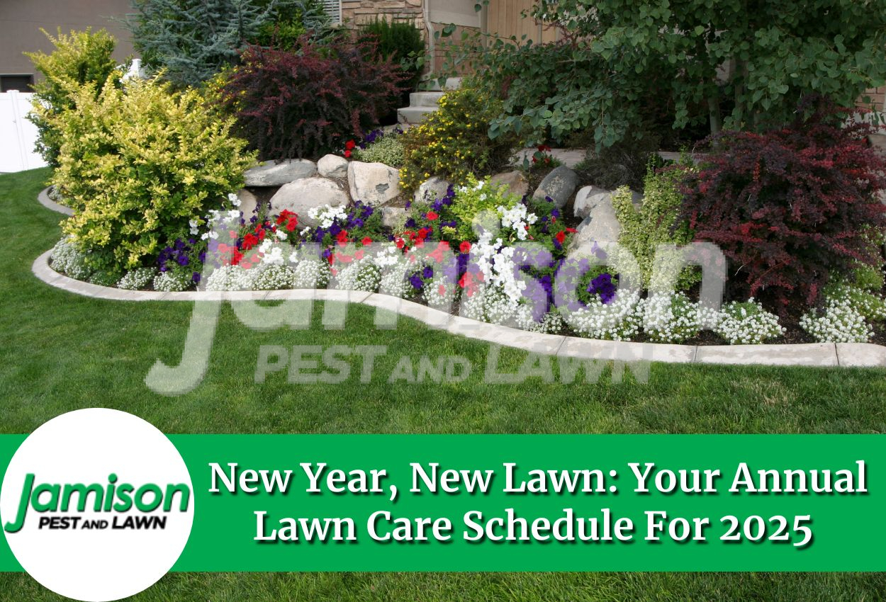 New Year, New Lawn: Your Annual Lawn Care Schedule For 2025
