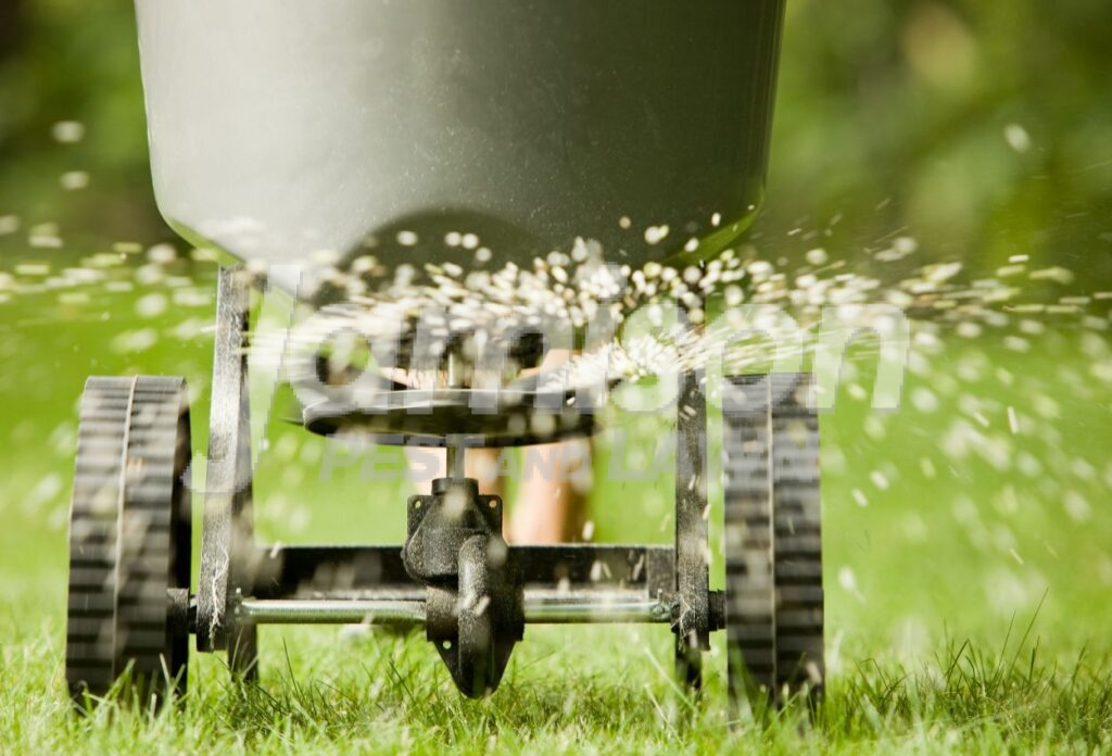Fertilization Fertilization
