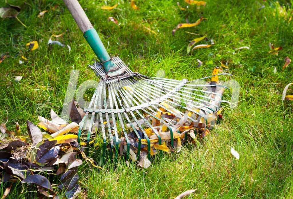 Lawn Cleaning Lawn cleaning