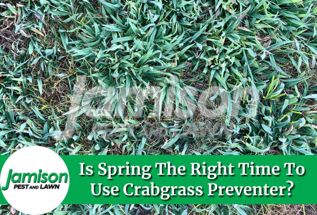 Is spring the right time to use crabgrass preventer