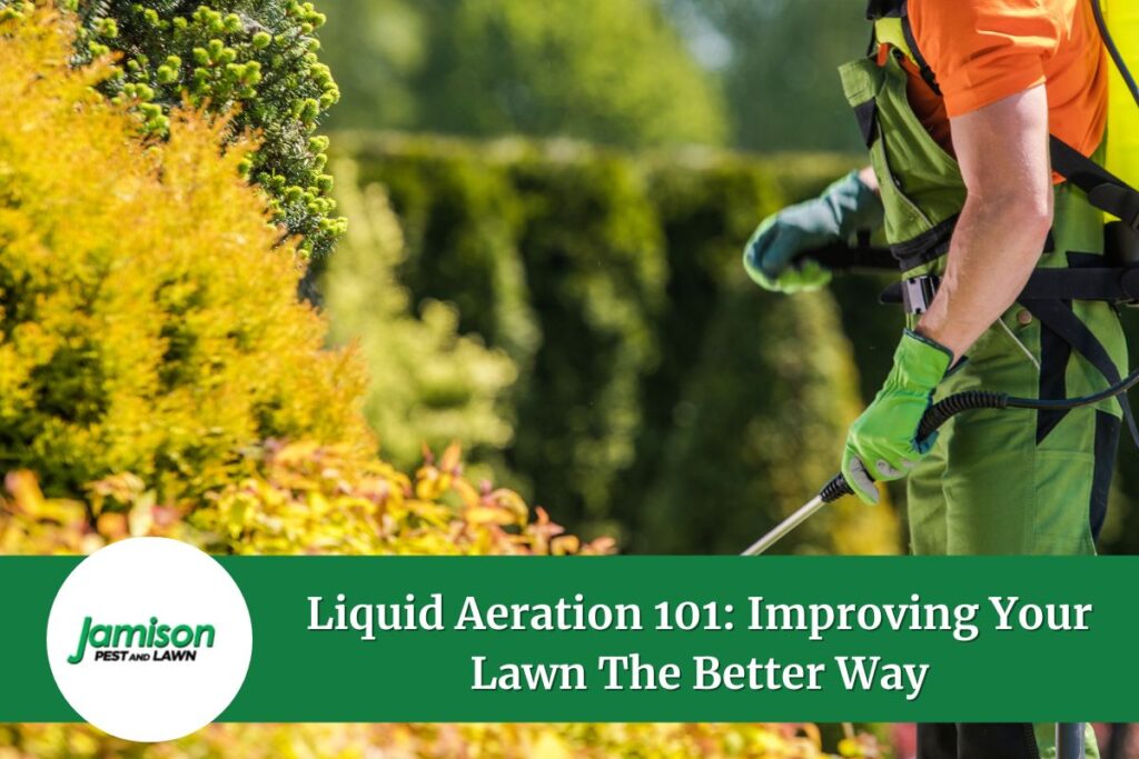 Liquid aeration