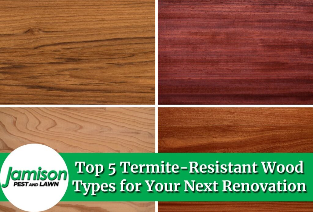 Termite-Resistant Wood