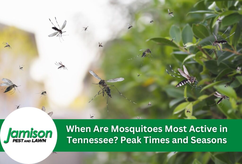When are mosquitoes most active in tennessee? Peak times and seasons