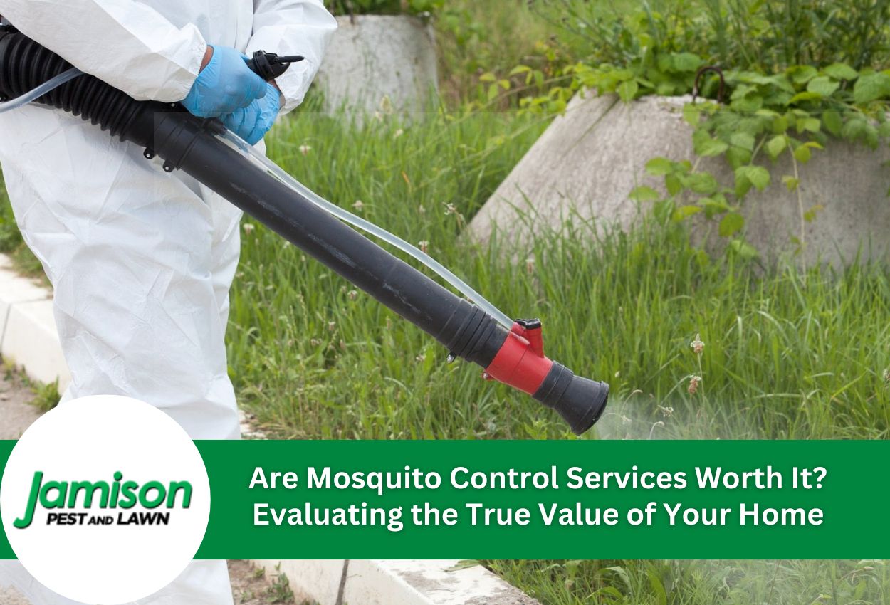Are Mosquito Control Services Worth It? Evaluating the True Value of Your Home