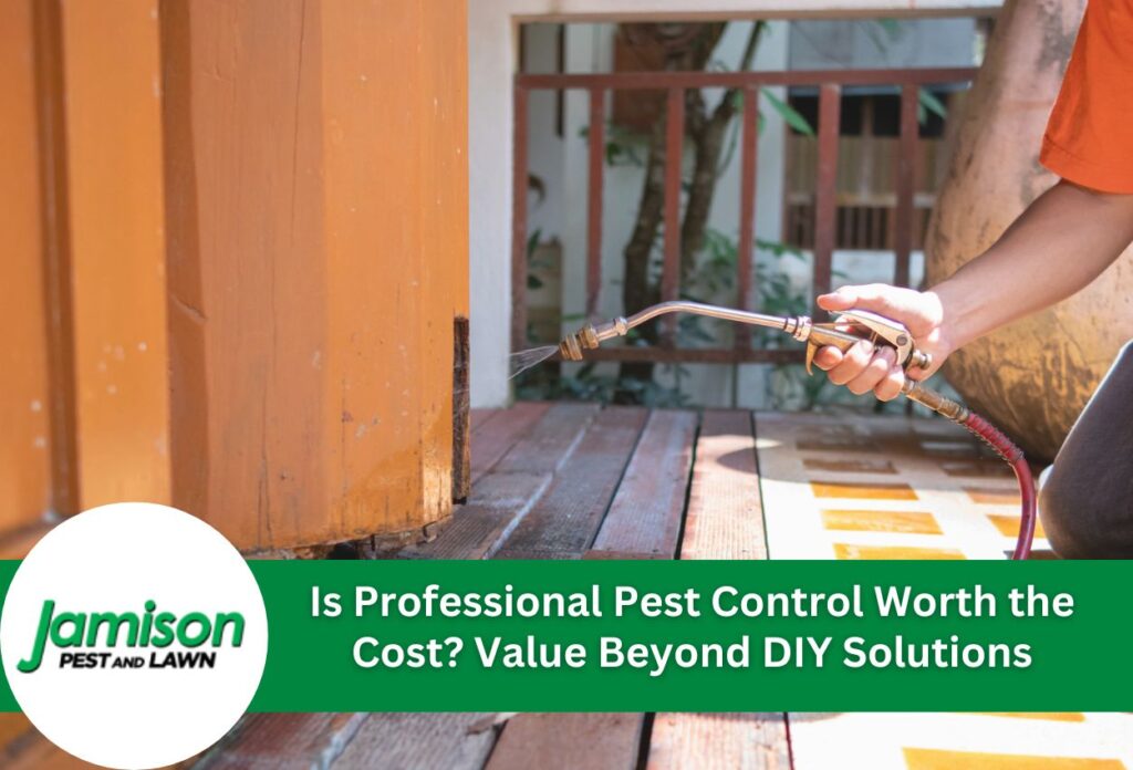 Is professional pest control worth the cost? Value beyond diy solutions