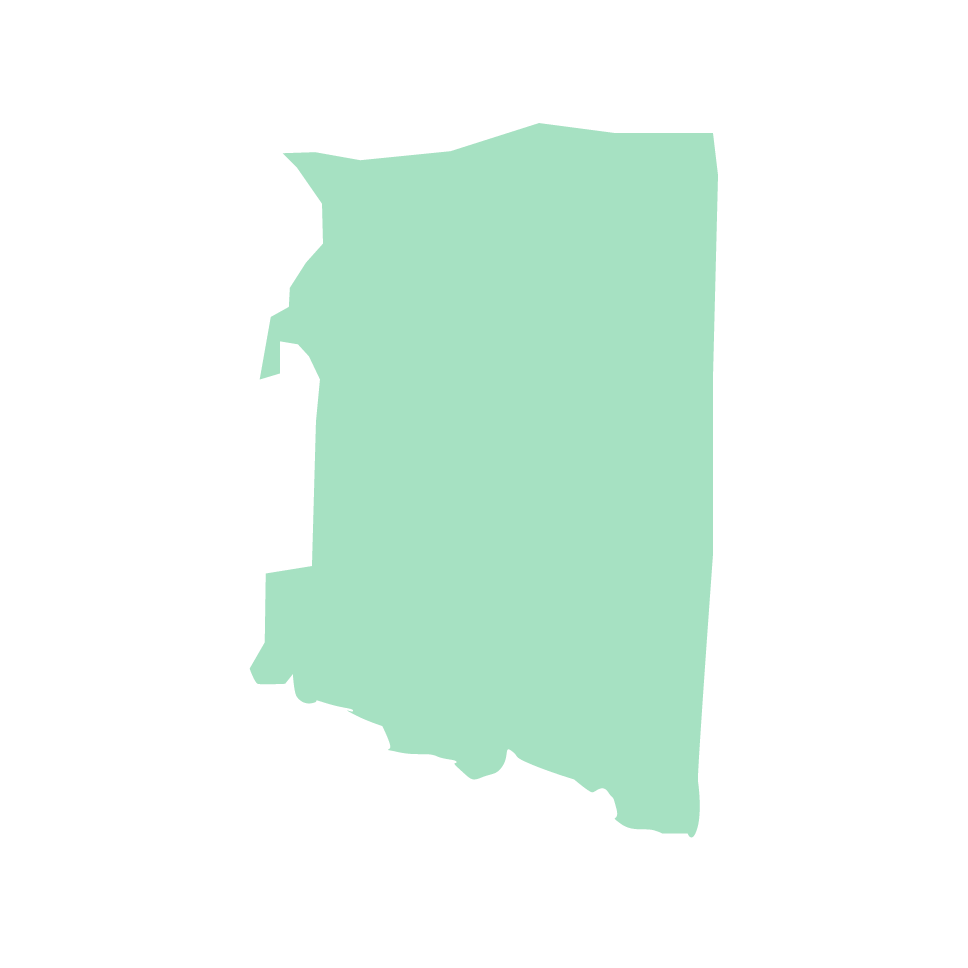 Arizona state map silhouette in mint green color on white background