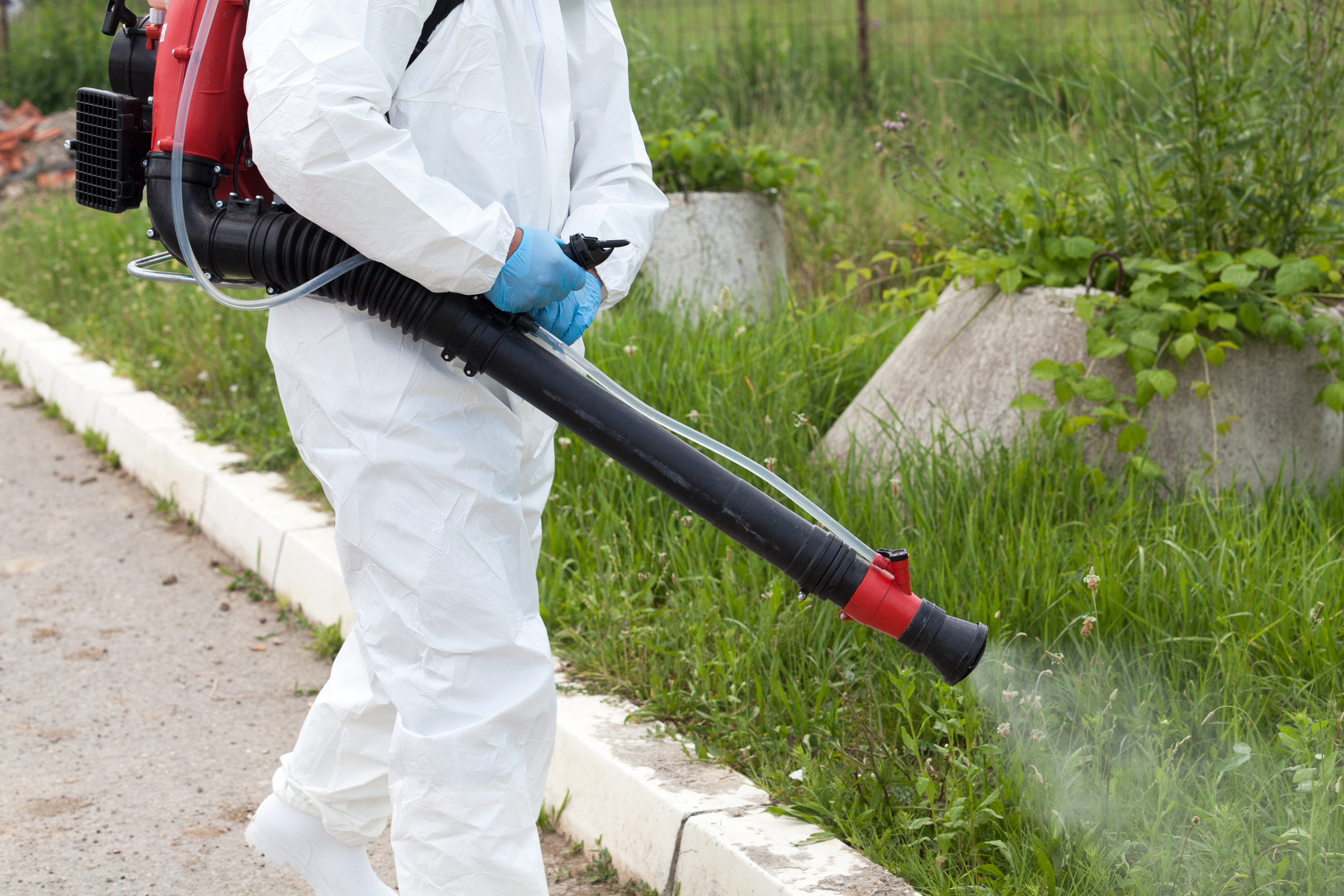Pest control worker in protective suit spraying weeds with backpack sprayer equipment